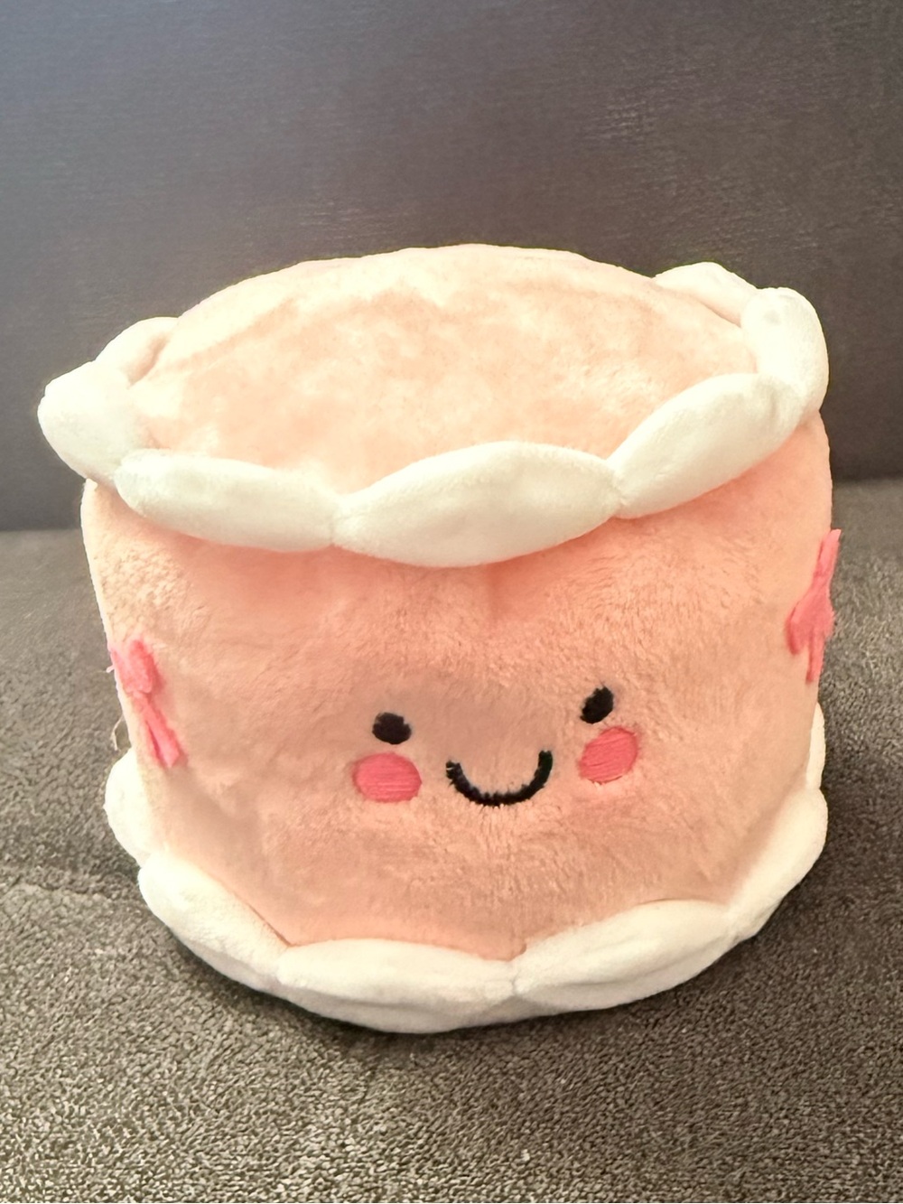 Spritz Pink Plush Cake Decor with White Trim